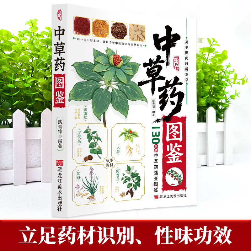 図解ガイド 中国漢方薬 130種類の伝統的な漢方薬識別書 ホ - Herbal Wellness Guide のレビューと価格