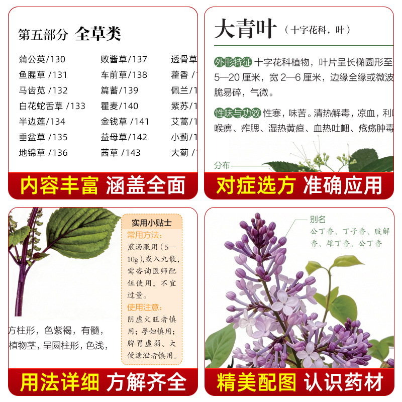 図解ガイド 中国漢方薬 130種類の伝統的な漢方薬識別書 ホ - Herbal Wellness Guide のレビューと価格