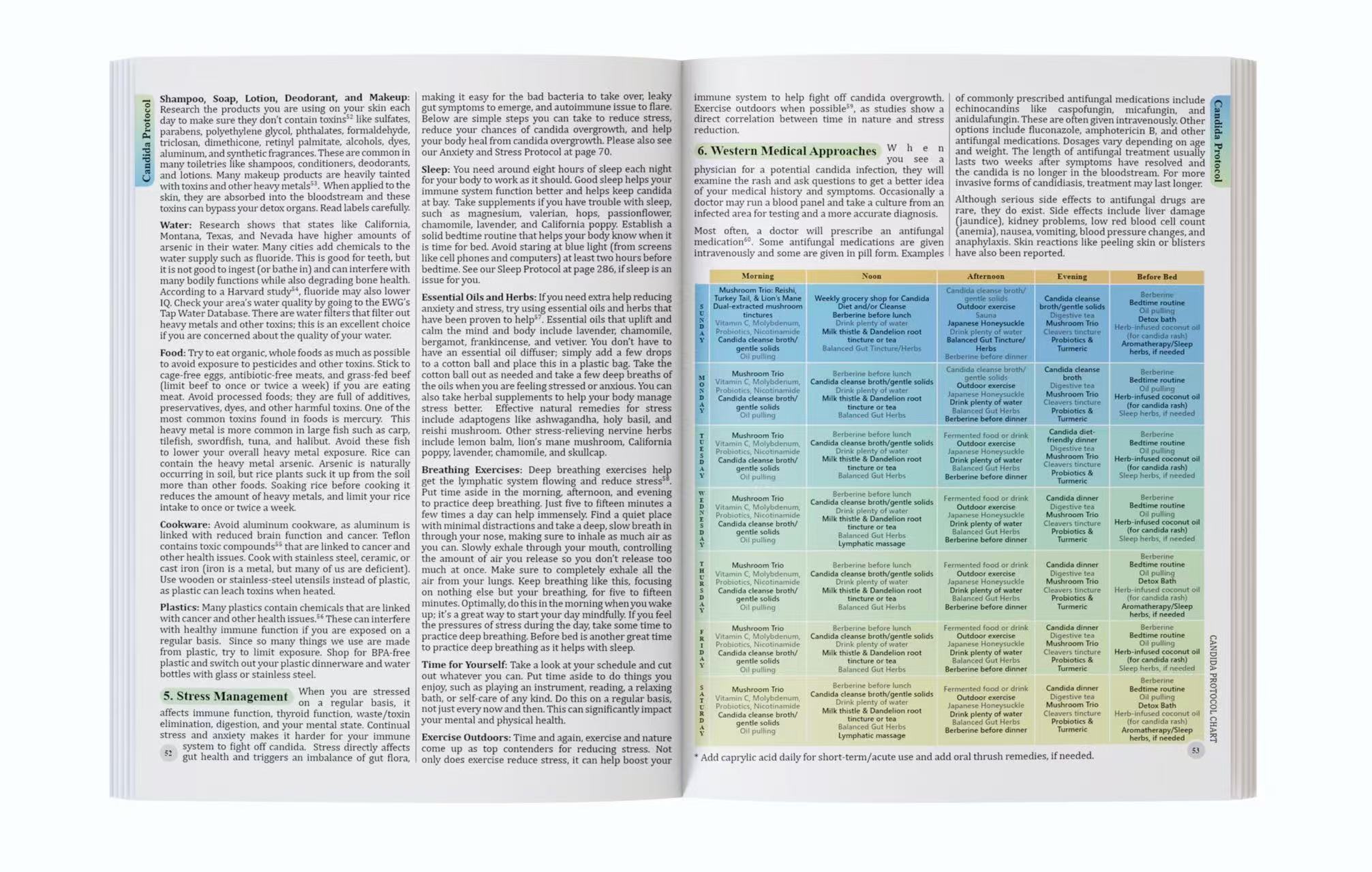 一般的な病気に対する包括的な健康ガイド：ハーブ療法に関する書 - Herbal Wellness Guide のレビューと価格
